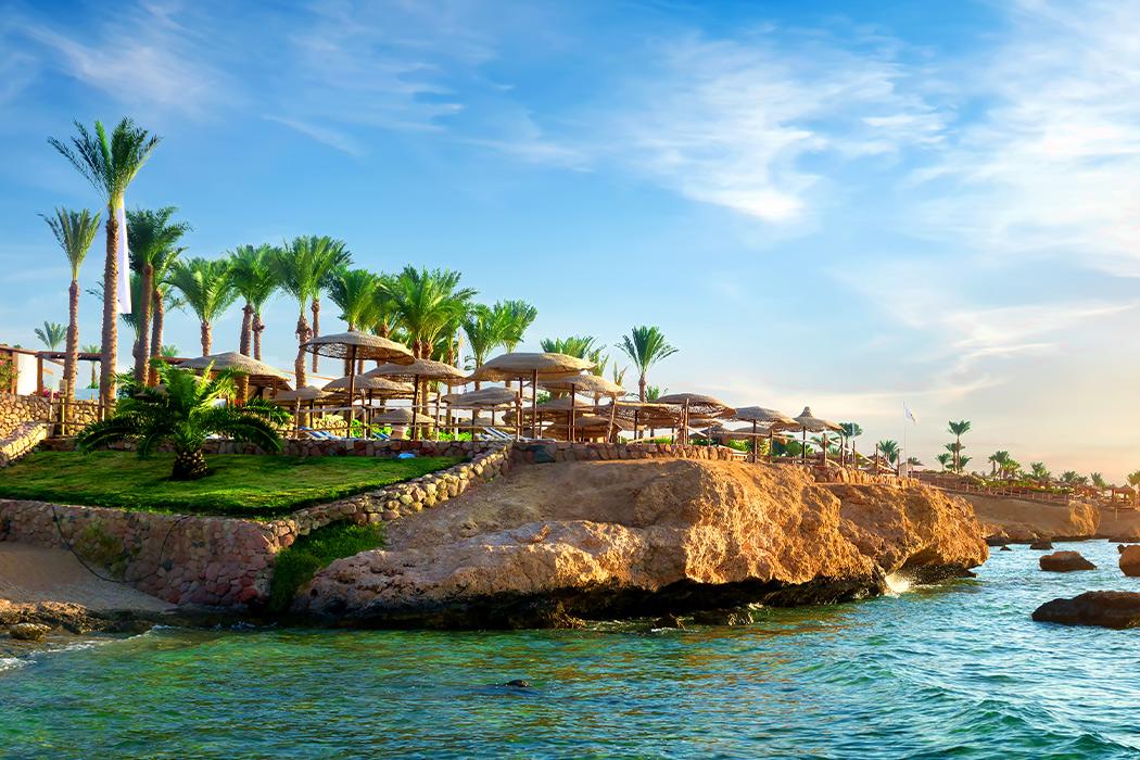 Tekne ile Ras Mohammed Turu ve White Island (Sharm El Sheikh)